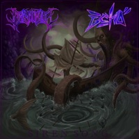 Siren Song (feat. ECHO) - Single - Larry Kootus