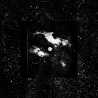 Drop Dead - Single - Cam Steady