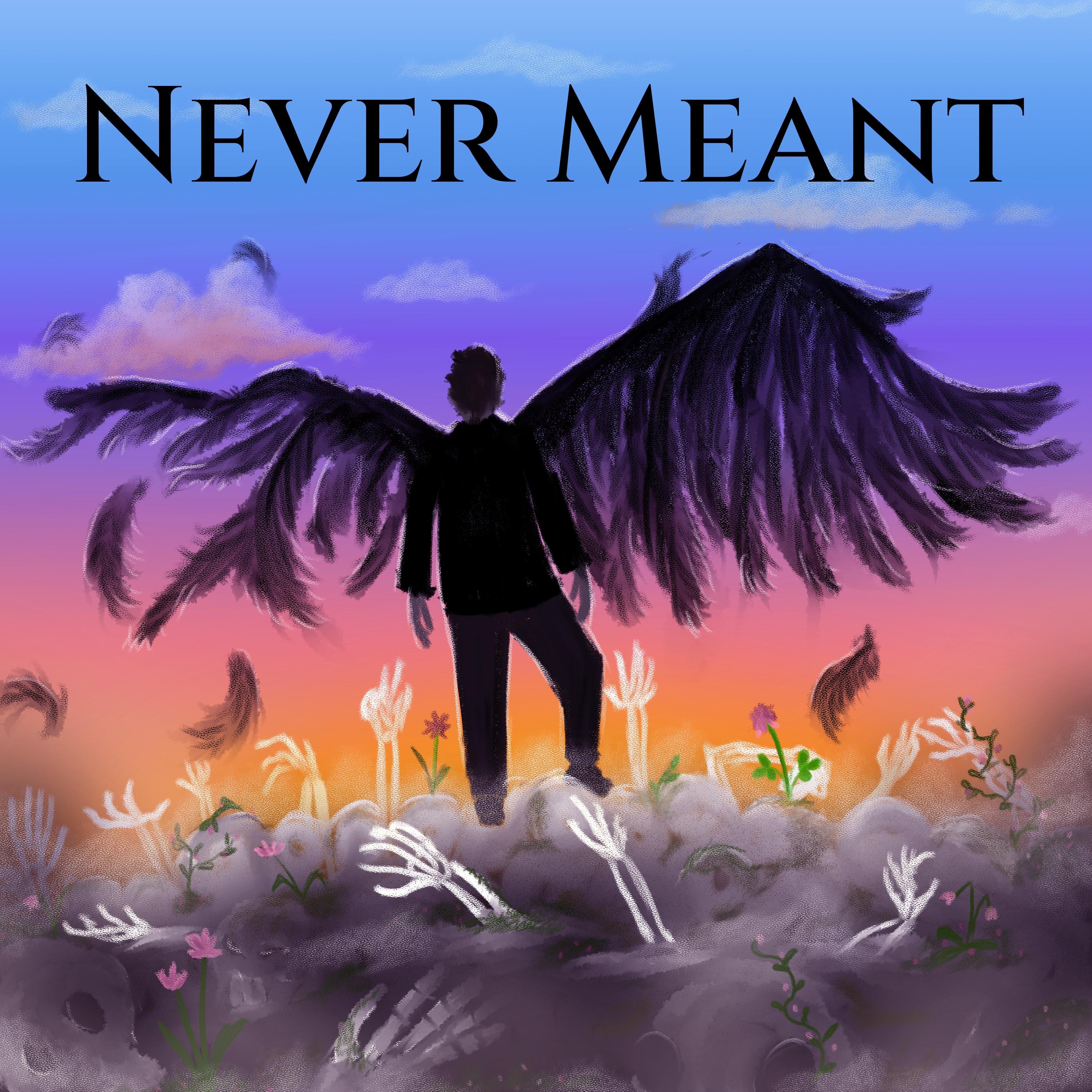 FLP (Feat. Hicksu)(Extended Mix) - Never Meant