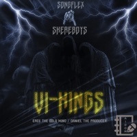 Ví-kings (feat. Skereboys) - Single - Aidom SF