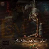 What Would You Do? - Single - Logan2600