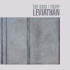 Leviathan - The Grid & Robert Fripp