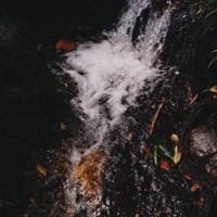 King Fischer - Single - arcata