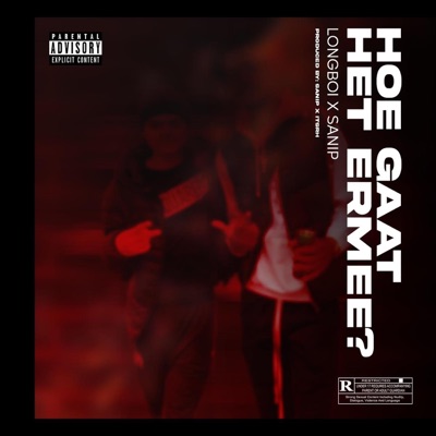 Hoe Gaat Het Ermee? - Single