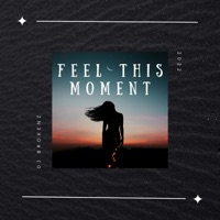Feel This Moment - Single - DJ Brokenz