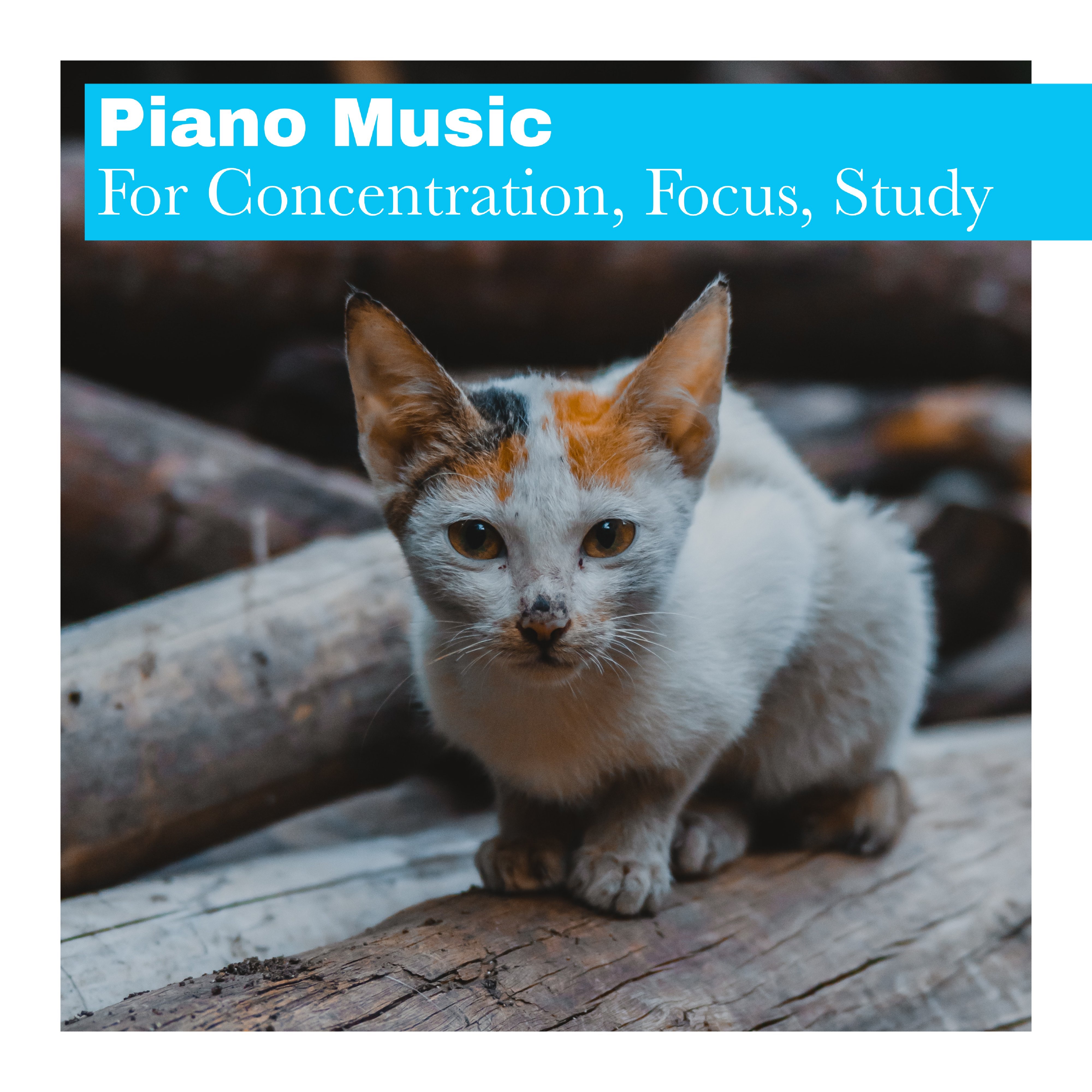 Piano Music for Concentration, Focus, Study