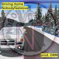 Driving Home - Single - nobodyfeelslove