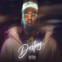 Destiny (Radio Edit) - Single - crownedYung
