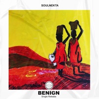 Benign - Single - Soulnekta