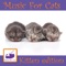 Whiskers - RelaxMyCat lyrics