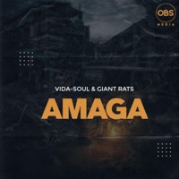 Amaga - Single - Vida-Soul & Giant Rats