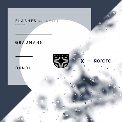 Flashes (feat. Metebir) [Radio Edit] - Single