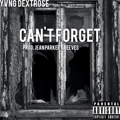 Can't Forget - Single