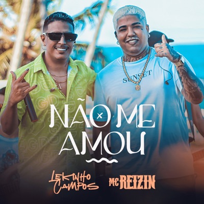 Não Me Amou - Single