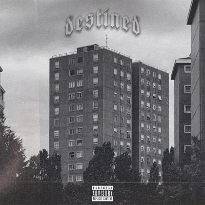 Destined (feat. Midnite crisis) - Single