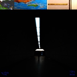 my whole Life (feat. TOKA) Wellvisid