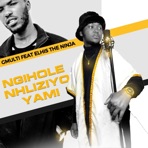 Ngihole Nhliziyo Yami (feat. Elhis the Ninja) - Single