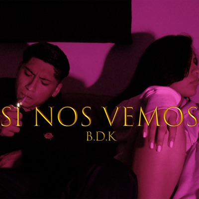 Si Nos Vemos - Single