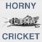 Suez - Horny Cricket lyrics