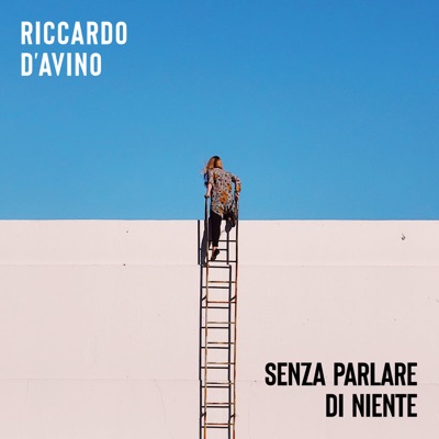 Senza parlare di niente - Riccardo D'Avino