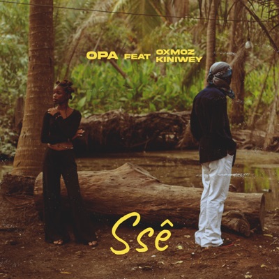 Ssê (feat. Oxmoz Kiniwey) - Single