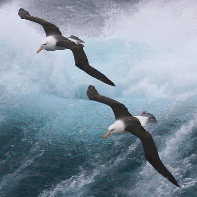 EdRecords - Nordic Lake