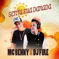 Senta Sua Danada - Single - DJ Fire & Mc Benny