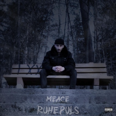 Ruhepuls - Single