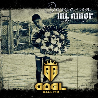 Descansa Mi Amor - Single