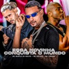 Essa Novinha Conquista o Mundo (feat. Mc Torugo) - Single