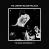 Sigmund Freud Sigmund Freud (2022 Remix) [2022 Remix] The Dark Experience - EP