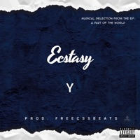 Ecstasy - Single - Y