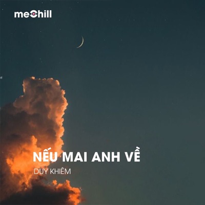 Nếu Mai Anh Về (Lofi) - Single