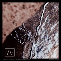 Lysergic Connection - Absis, Petit Astronaute, Teixo, Assimilated, Nothing Is Real, The Alchemical Theory, John Plaza, Save Your Atoll & Minjoon