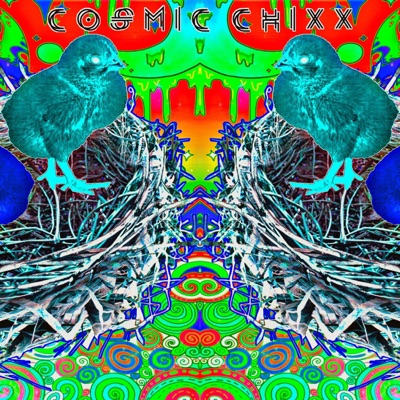 Cosmic Chixx - Single
