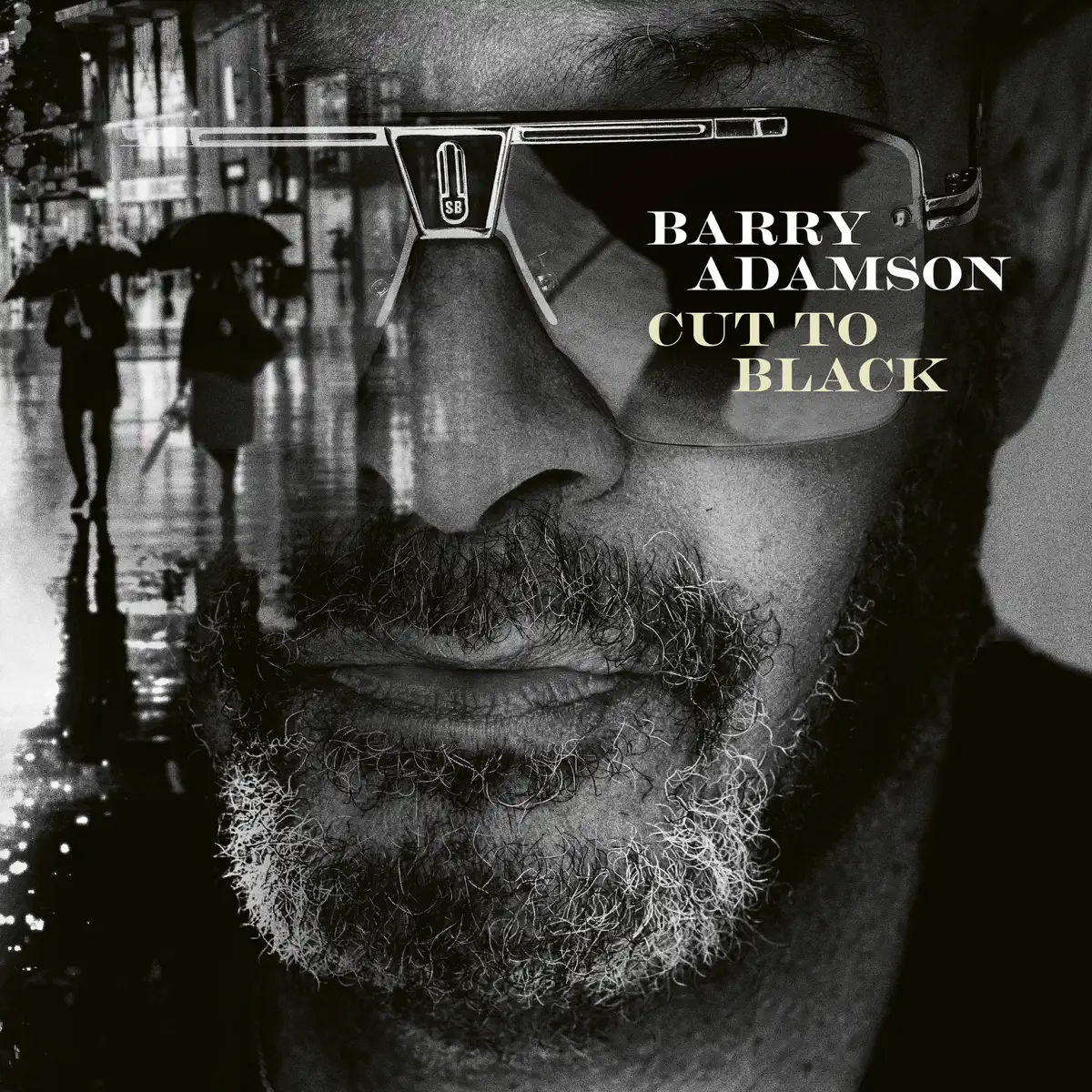 Barry Adamson - Cut To Black (2024) [iTunes Plus AAC M4A]-新房子