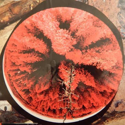 Mumbai Tummy Ache - Single