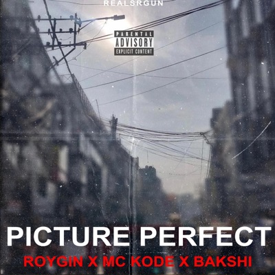 Picture Perfect (feat. Gin, Mc Kode & Ajinkya Bakshi) - Single