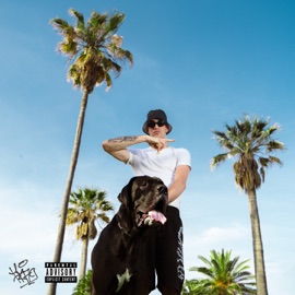 Dogs Enomoney & Praci