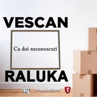 Ca Doi Necunoscuti (feat. Raluka) - Single - Vescan