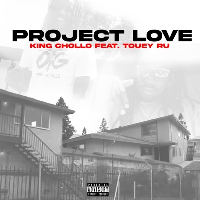 Project Love (feat. Touey Ru) - Single