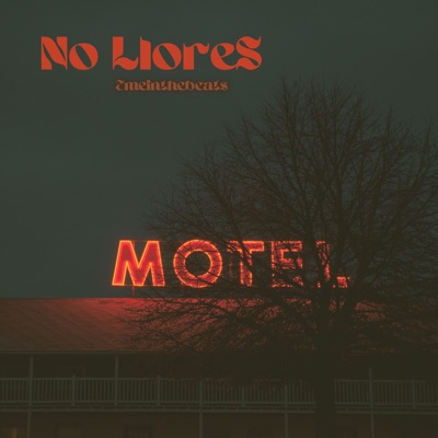No Llores - Single