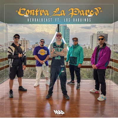 Contra la pared (feat. HerbalBeast & Babuinos) - Single