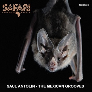 The Mexican Grooves - EP