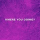 Where You Going Demo Single