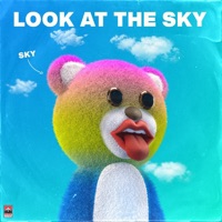 Look At The Sky - Single - Sky