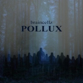 Pollux Braincellz
