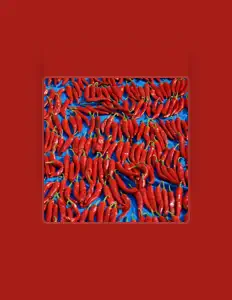 Posłuchaj wykonawcy Samson Cash, obejrzyj teledyski, przeczytaj biografię, zobacz daty tras koncertowych i nie tylko!