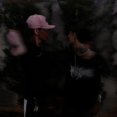 Vagabundo e a Dama, Pt. 2 (feat. W11) - Single