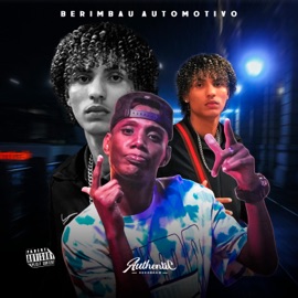 Berimbau Automotivo (feat. MC GW) DJ VM